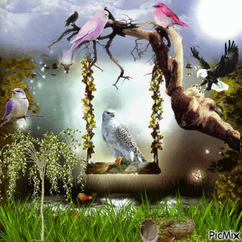 le parke des oiseaux - 無料のアニメーション GIF
