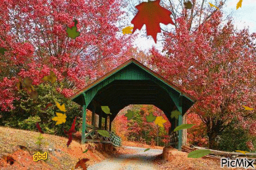 Covered Bridge at Falltime - Ücretsiz animasyonlu GIF