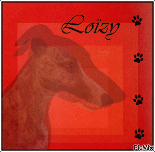Loizy - Δωρεάν κινούμενο GIF