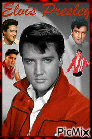 Elvis! - GIF animado gratis