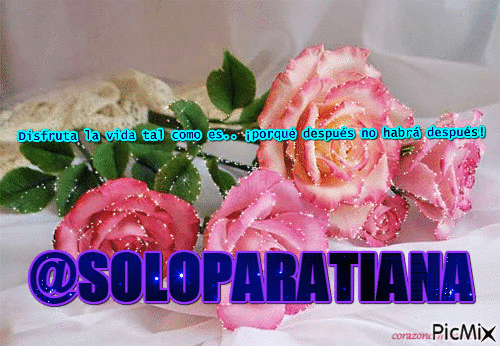 @SOLOPARATIANA - GIF animé gratuit