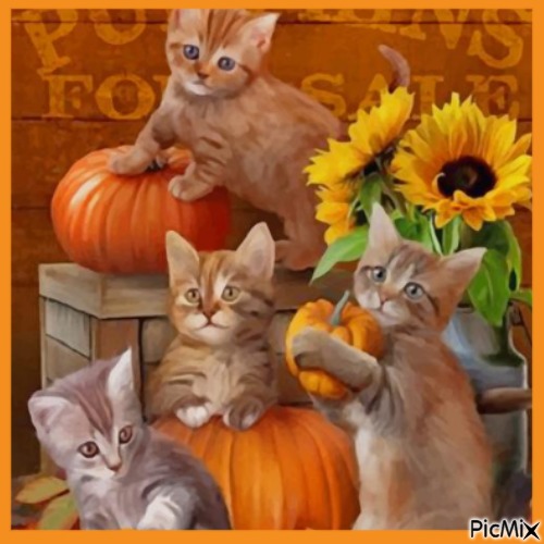 Chatons d'Halloween - png gratuito