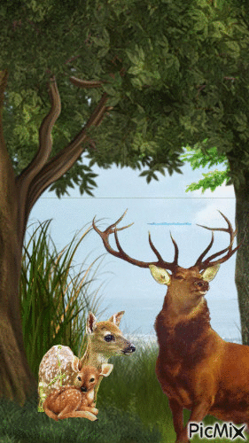 Cerf - Free animated GIF