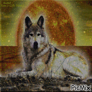 Full Moon Wolf - Δωρεάν κινούμενο GIF