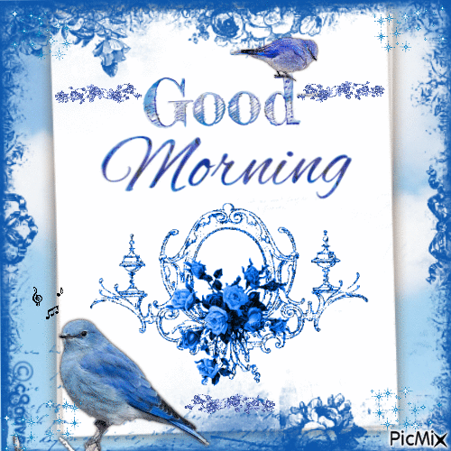 Good morning, blue, birds - Besplatni animirani GIF