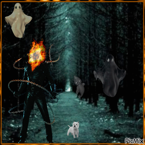 En la oscuridad del bosque..!! - Free animated GIF
