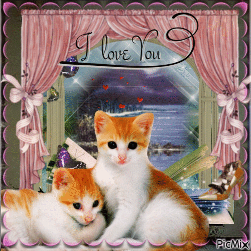 chats amoureux - Ingyenes animált GIF