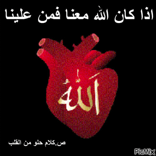 Мое сердце на арабском
