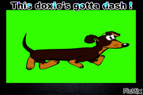 Dashing Doxie - GIF animado gratis