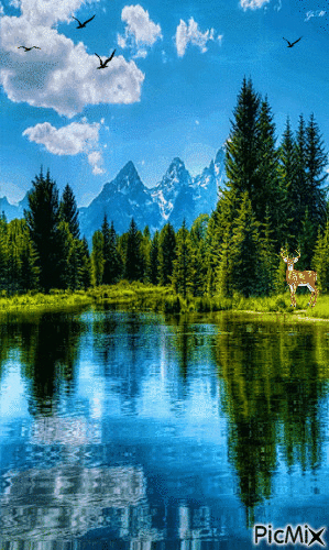 Mountain Lake - GIF animasi gratis