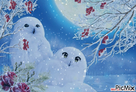owls in snow4 - Бесплатный анимированный гифка