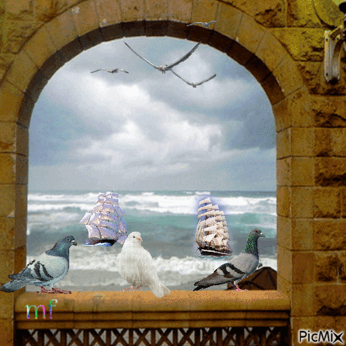 vue sur la mer - Darmowy animowany GIF