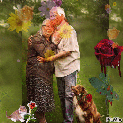 Idősebb házaspár - GIF animé gratuit