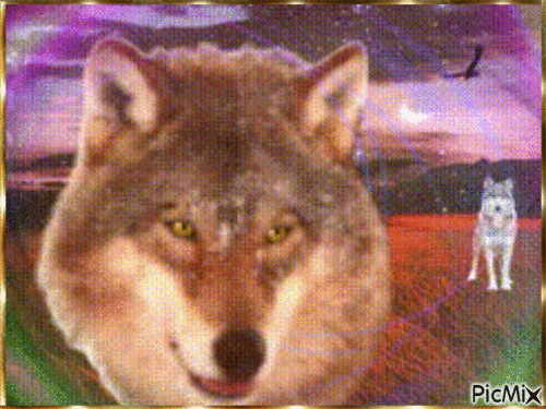Amazing Wolf - Free animated GIF