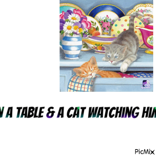 A table cat - Gratis geanimeerde GIF