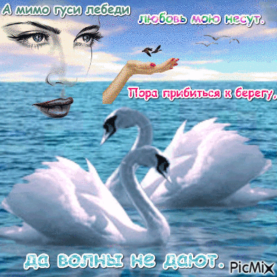гуси лебеди - GIF animasi gratis