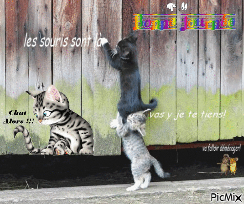 chat alors ! !! - Ücretsiz animasyonlu GIF