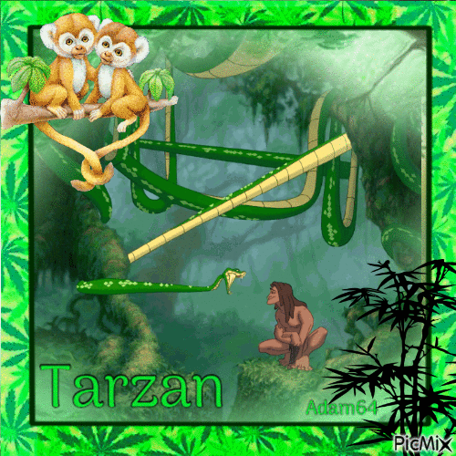 Tarzan2plaze