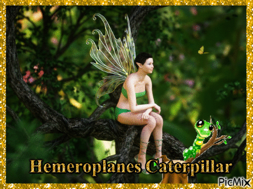 Hemeroplanes Caterpillar - GIF animado grátis