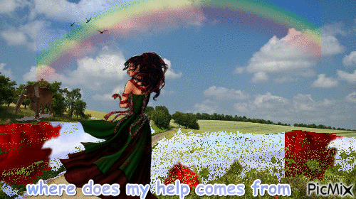 Where does my help comes from - Free animated GIF
