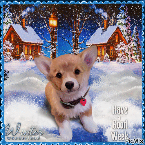 Winter Wonderland. Have a Great Week. Dog - GIF animado grátis
