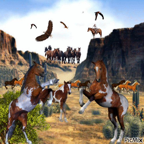 WILD HORSES - Gratis animerad GIF