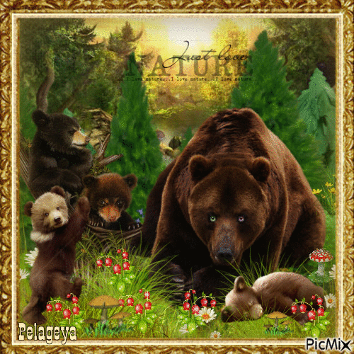 l'ours et ses petits (picture) - GIF animé gratuit