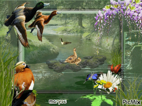 nature et animaux - Ingyenes animált GIF