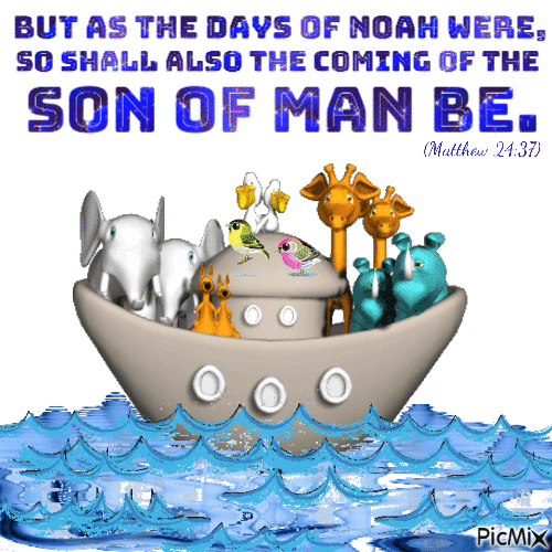 Like Noah time! - Zdarma animovaný GIF
