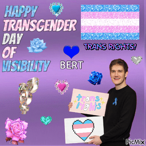 Happy Transgender Day of Visibility Bert - Gratis animerad GIF