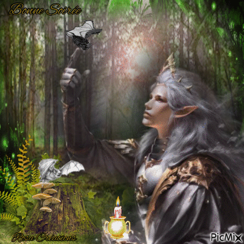 Concours : Elfe mystique et chauve-souris dans la forêt - Ingyenes animált GIF