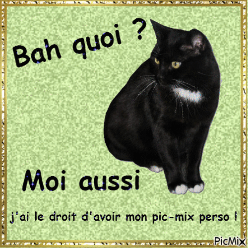 Bah... chat alors ! - Free animated GIF
