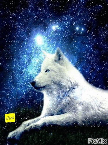 Wolf - GIF animate gratis