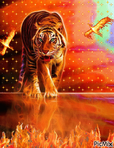 Tigre de feu - Бесплатный анимированный гифка