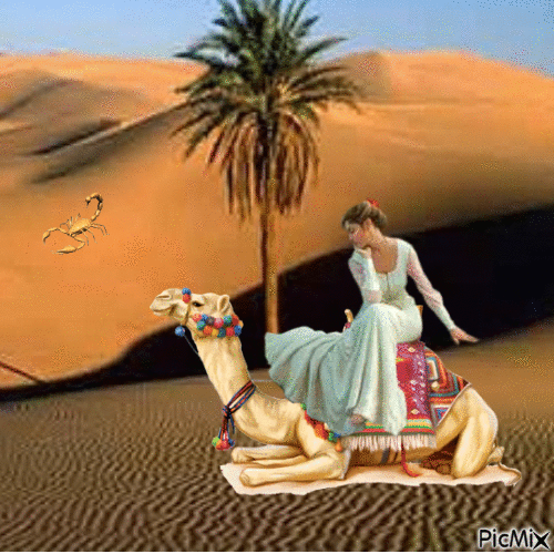 Femme dans le désert - GIF animé gratuit