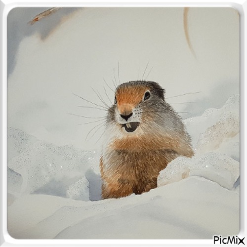 Un petit animal d'hiver en aquarelle - png gratuito