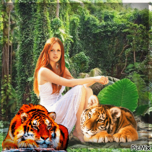 The Woman and her Tigers