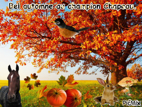 Le champion Chapeau. - Бесплатный анимированный гифка