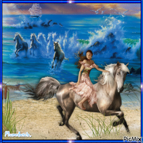Chevaux sauvages. - Free animated GIF