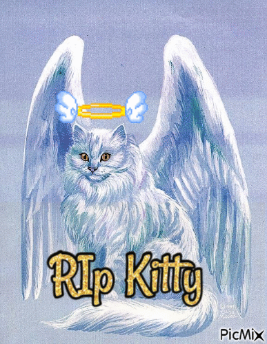 RIP Kitty - Free animated GIF - PicMix