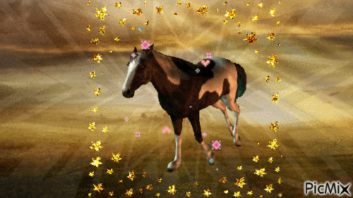 Love horse - Безплатен анимиран GIF
