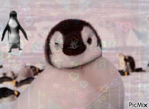 pingouin empereurs - GIF animado gratis