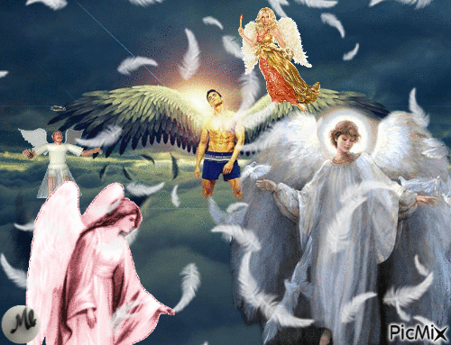 Muchos tipos de ángeles... - Bezmaksas animēts GIF