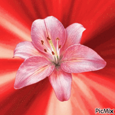 PicMix - Besplatni animirani GIF