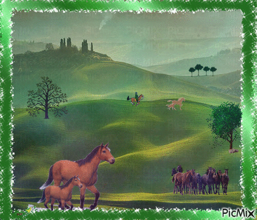 les chevaux - Zdarma animovaný GIF