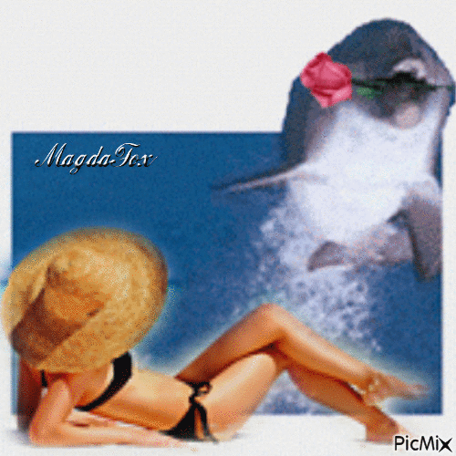 Dolphin - Bezmaksas animēts GIF