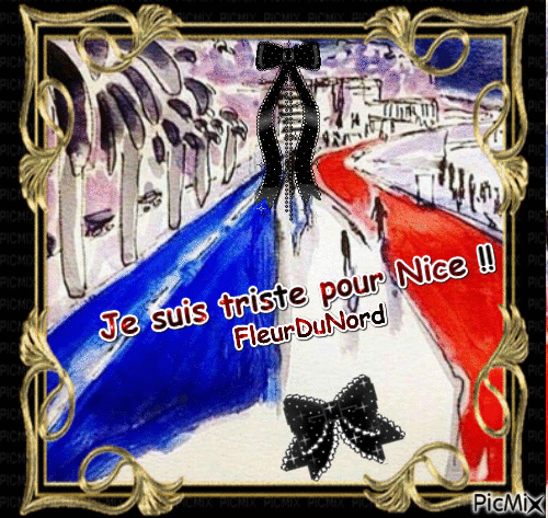 De la Tristesse pour Nice - Ingyenes animált GIF