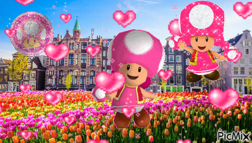 Toadette in Amsterdam (Literally cute) - Free animated GIF