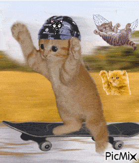 chat sketboard - GIF animado grátis