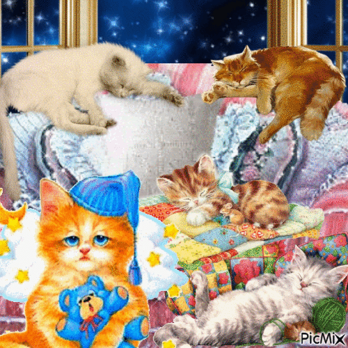 sleepy cats aww - Ingyenes animált GIF